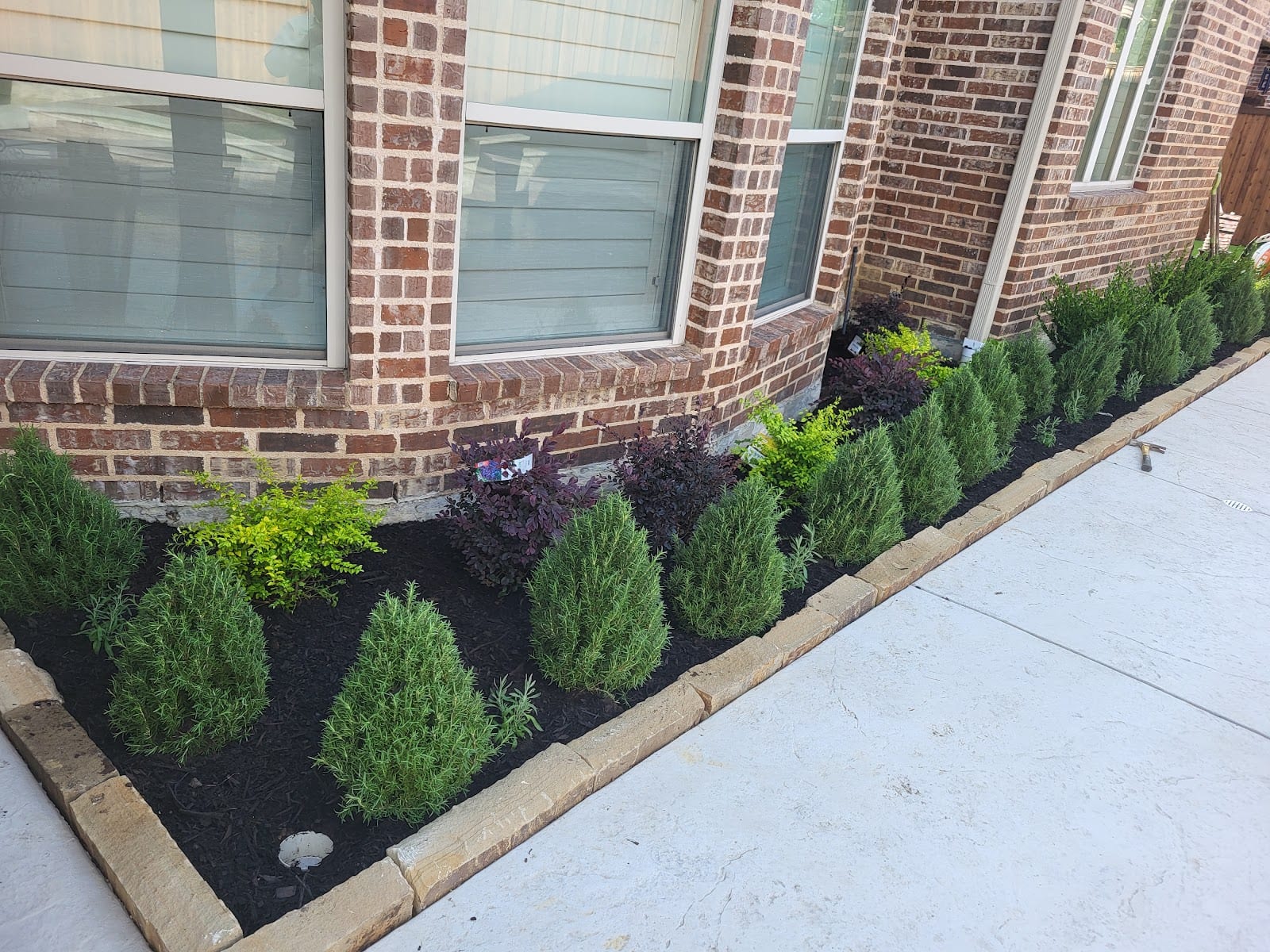 Serapio Lawn Mowing Services & Landscape, photo 2