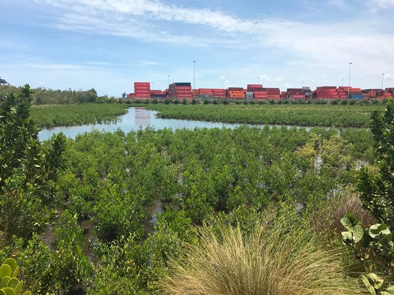 EarthBalance Corporate, photo 2