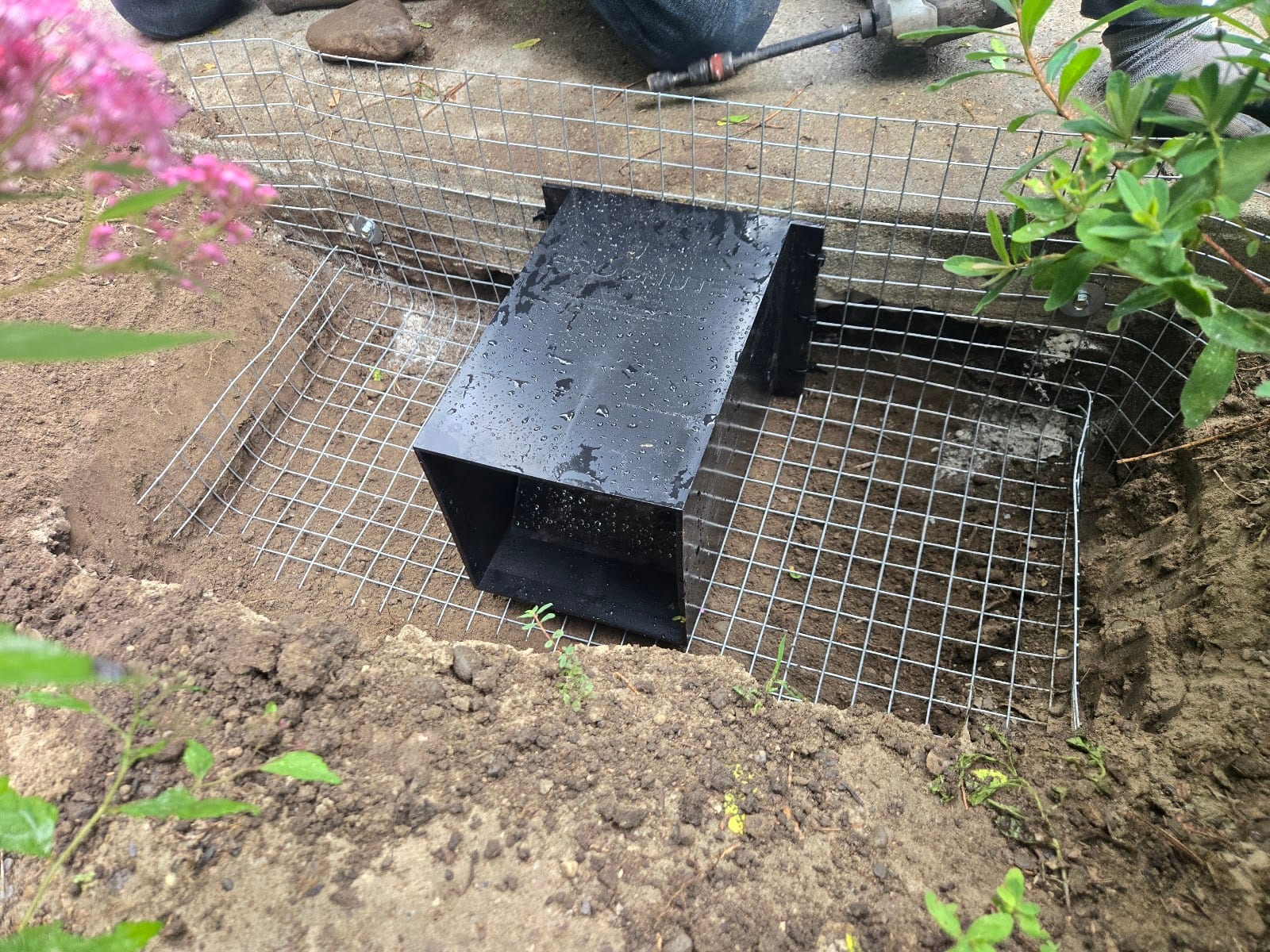 Brilliex Pest Control, photo 3