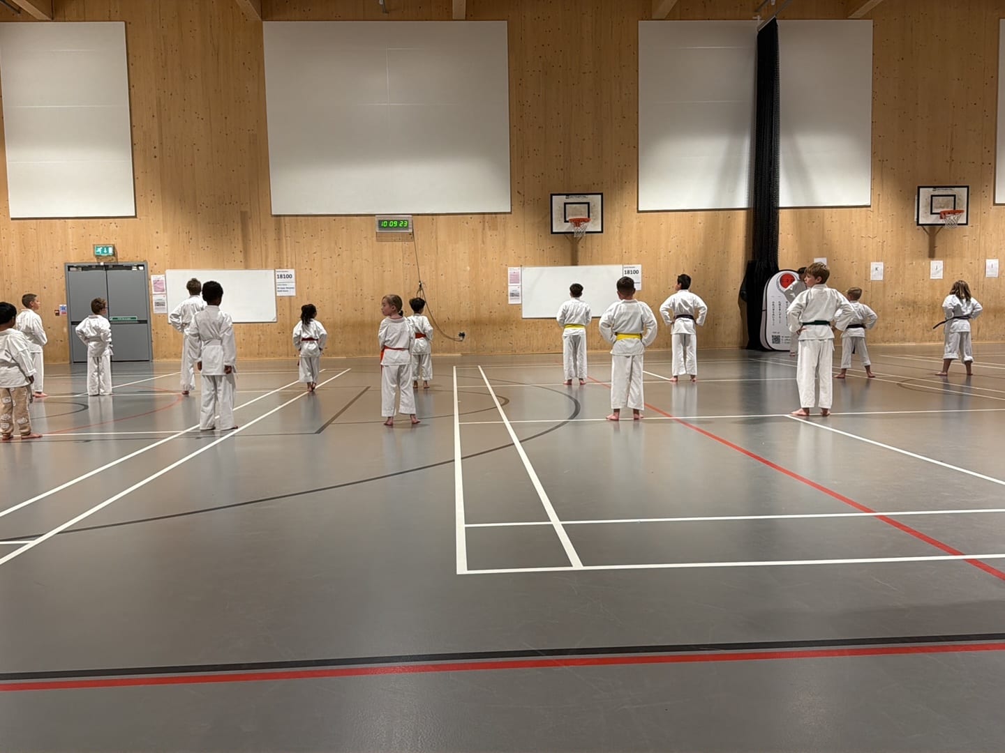 ESKA Karate at Eileen Ash Sports Hall (The Hewett), photo 2