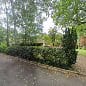 Harpenden Properties Limited