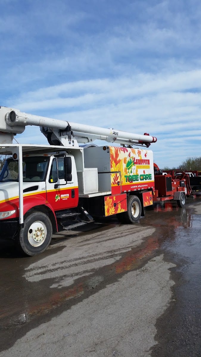 Griffith Property Services Ltd, photo 3