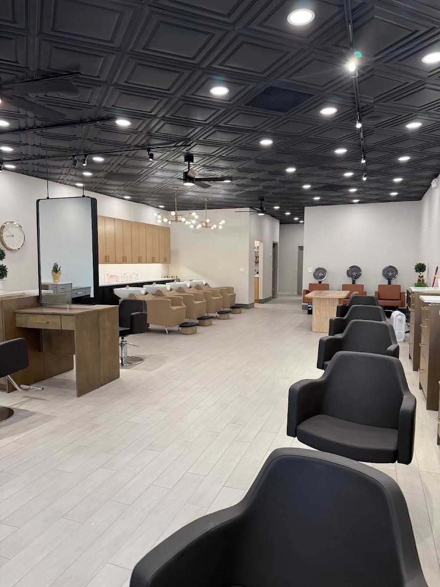 Enlight Collective Salon, photo 3