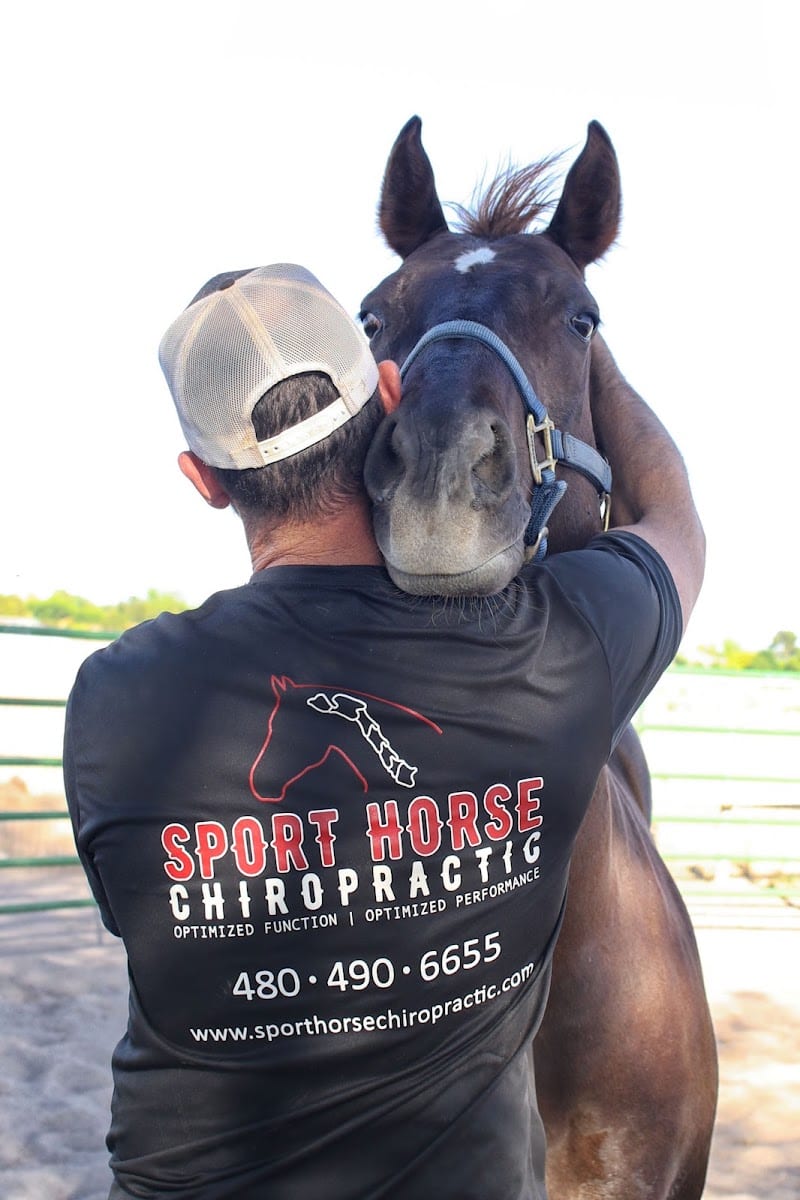 Sport Horse Chiropractic, photo 2