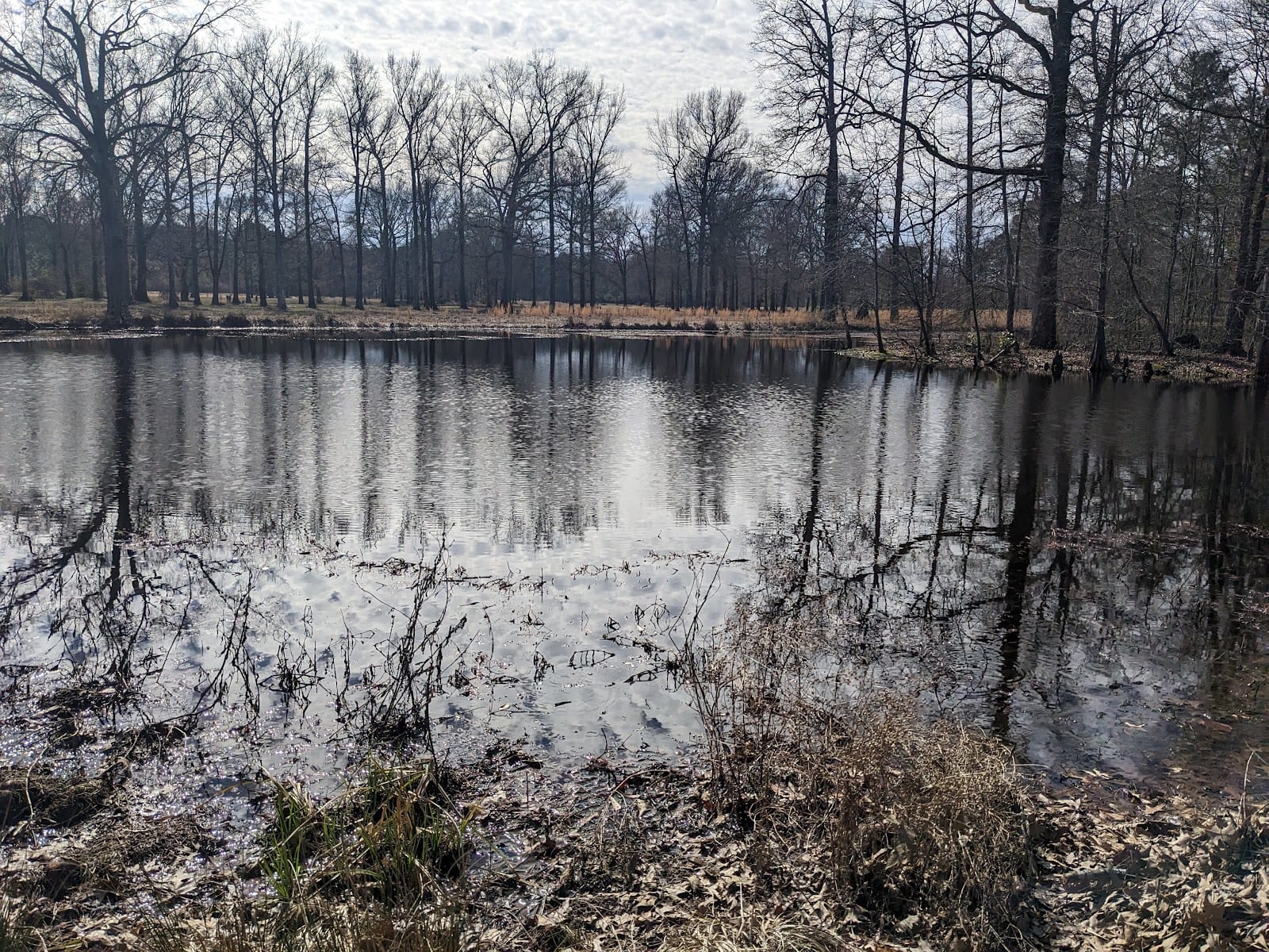 Hindman Park