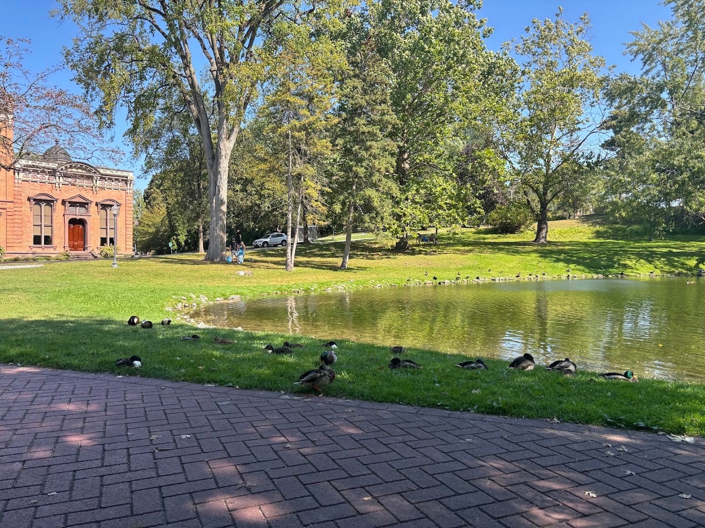 Veterans Pond, photo 4
