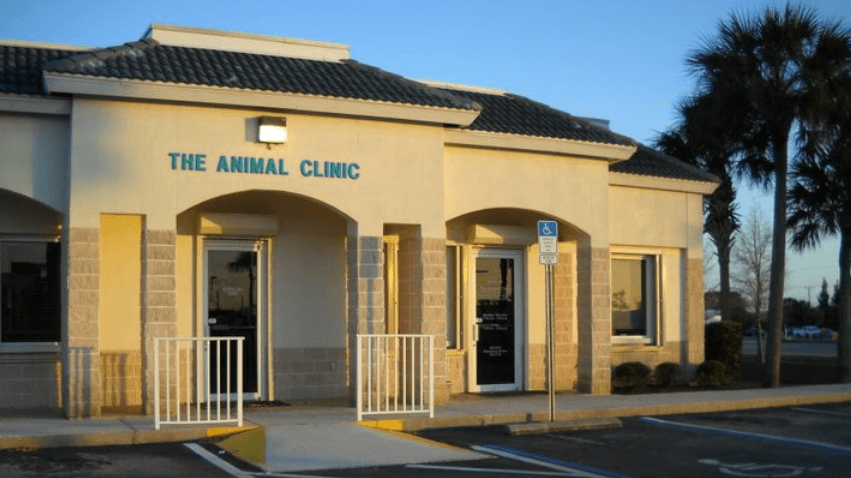 The Animal Clinic, photo 2