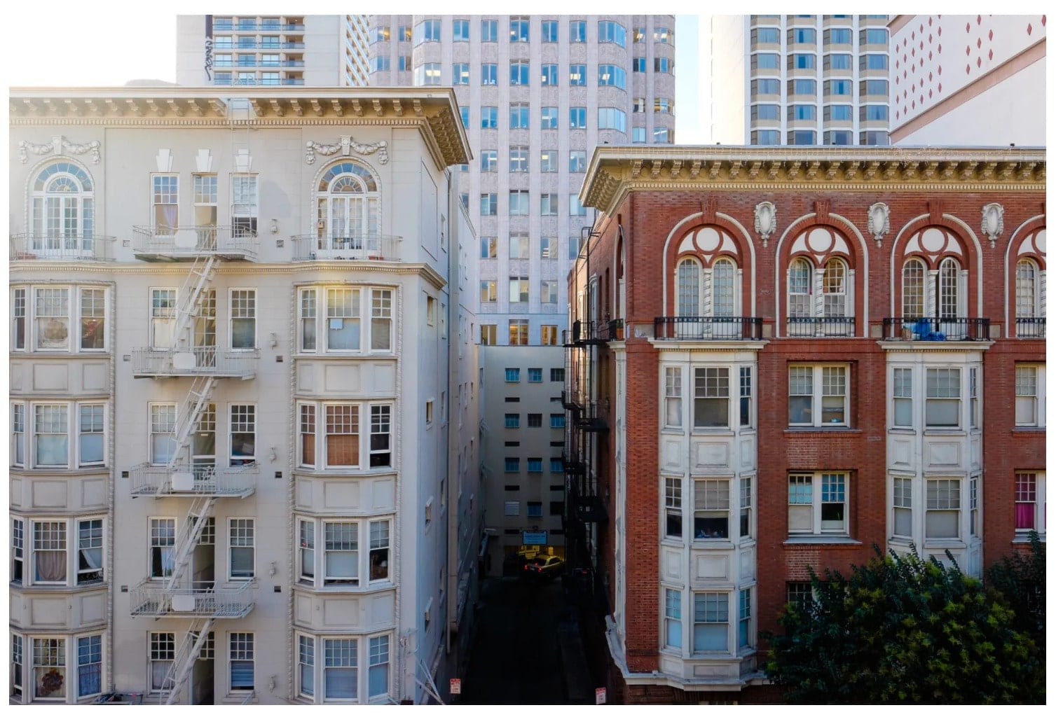 Painter SF