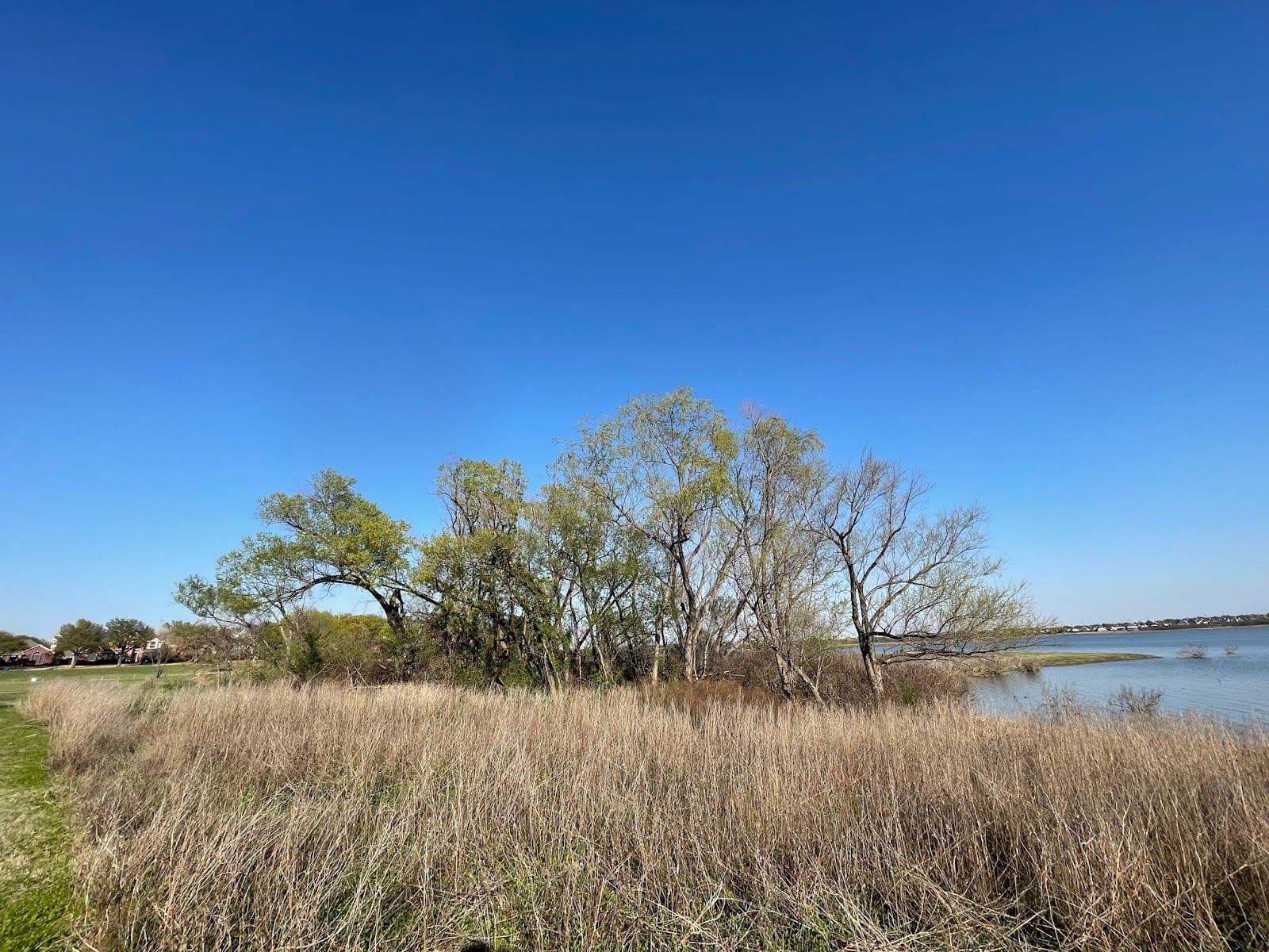 The Colony's Lakeshore Trail