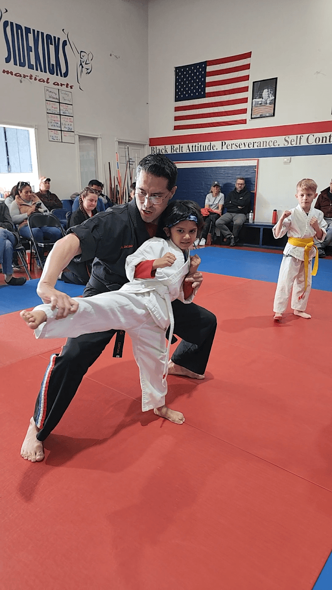 Sidekicks Martial Arts