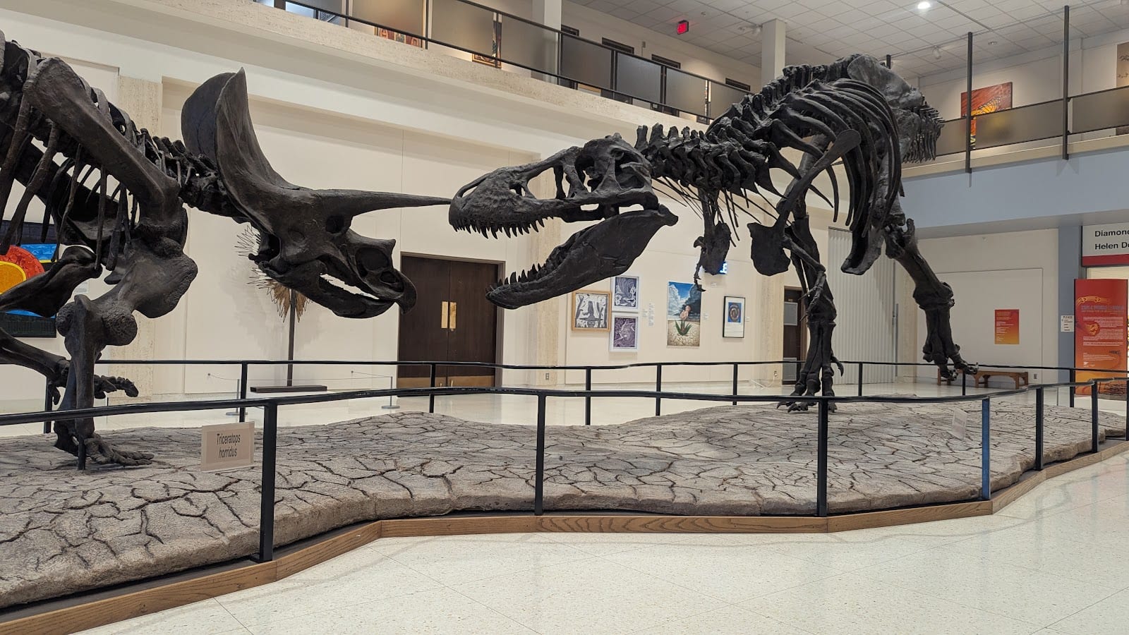 Museum at Texas Tech University