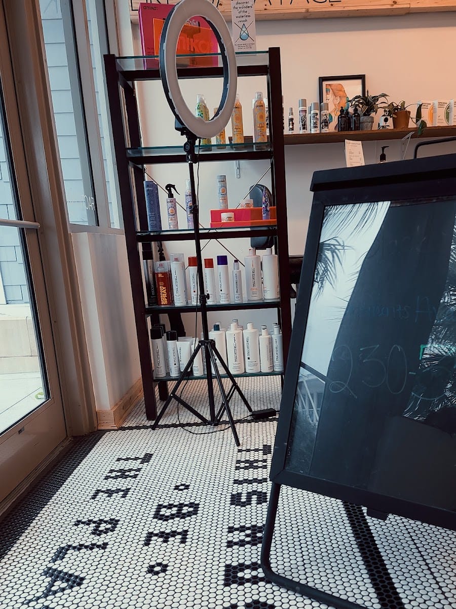 The Black Swan Studio