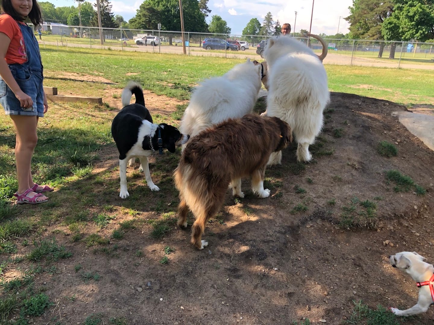 Home Run Dog Park, photo 2