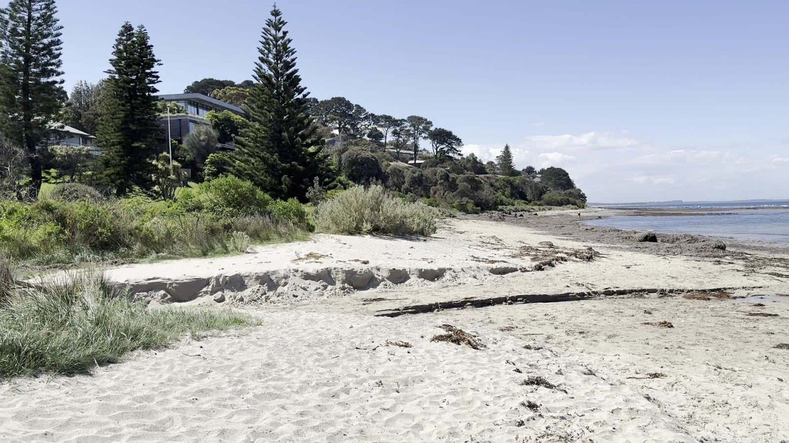 Flinders Dog Beach, photo 3