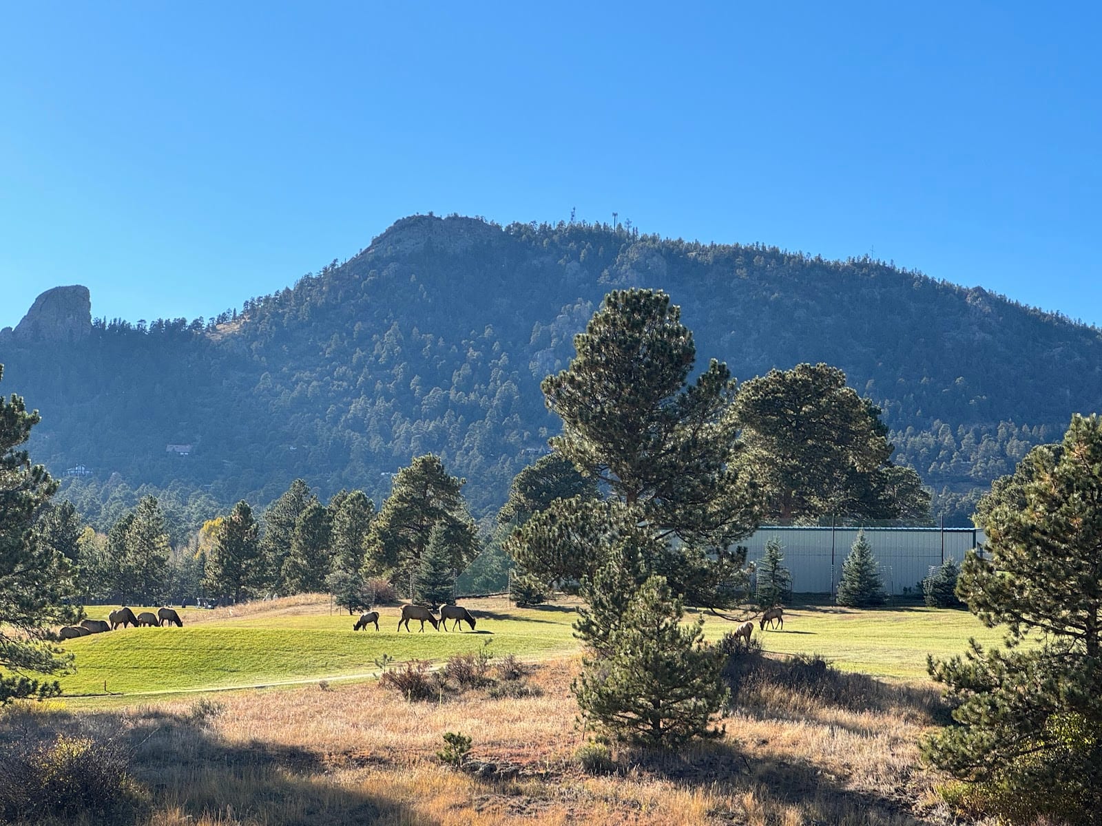 Lake Estes Trail