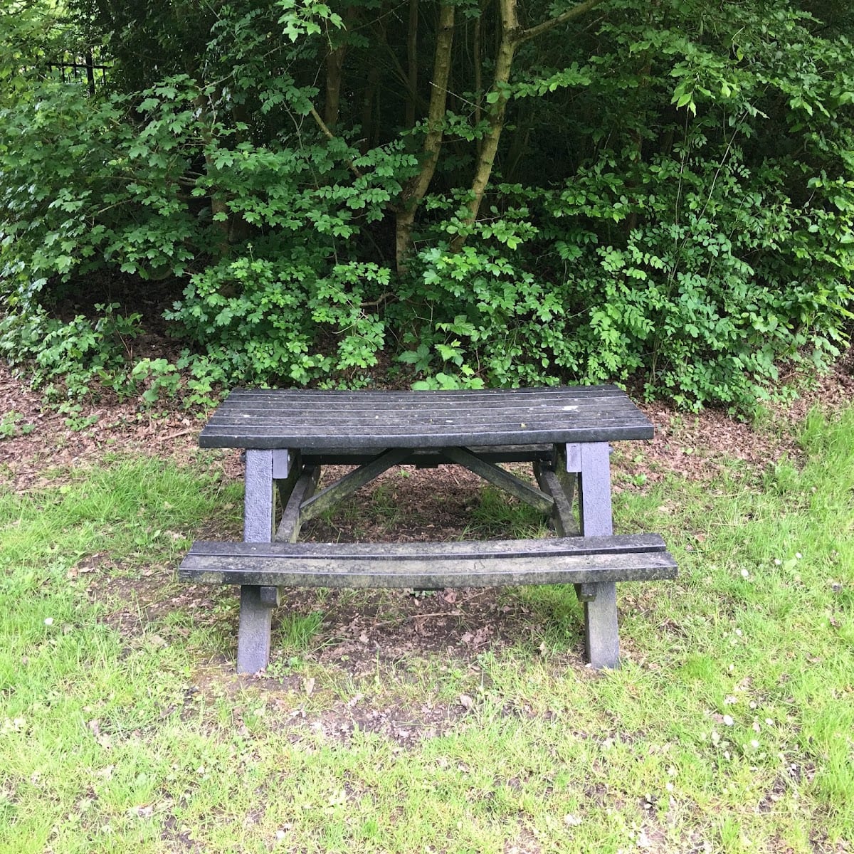 Damson Way Playground, photo 3