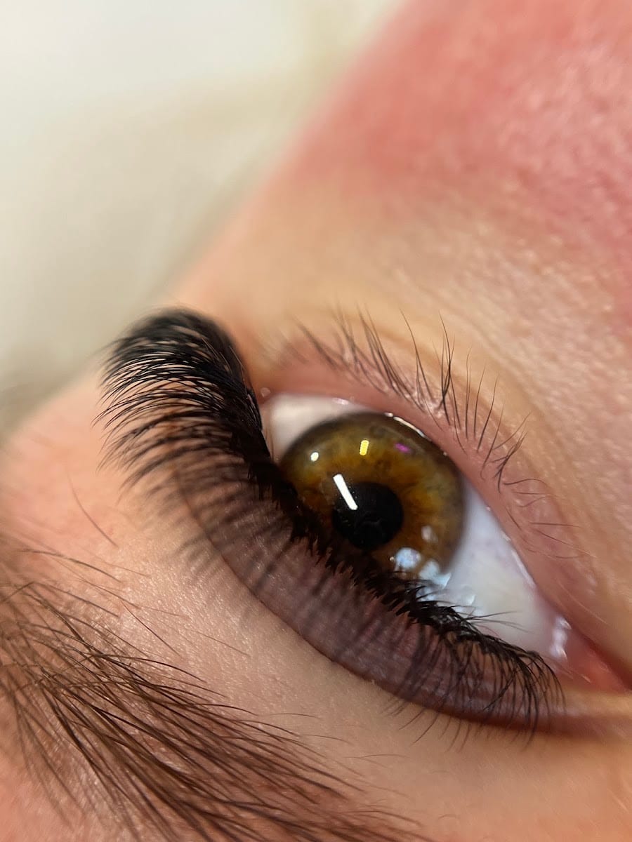 Cami_beautyart • lashes • brows • academy