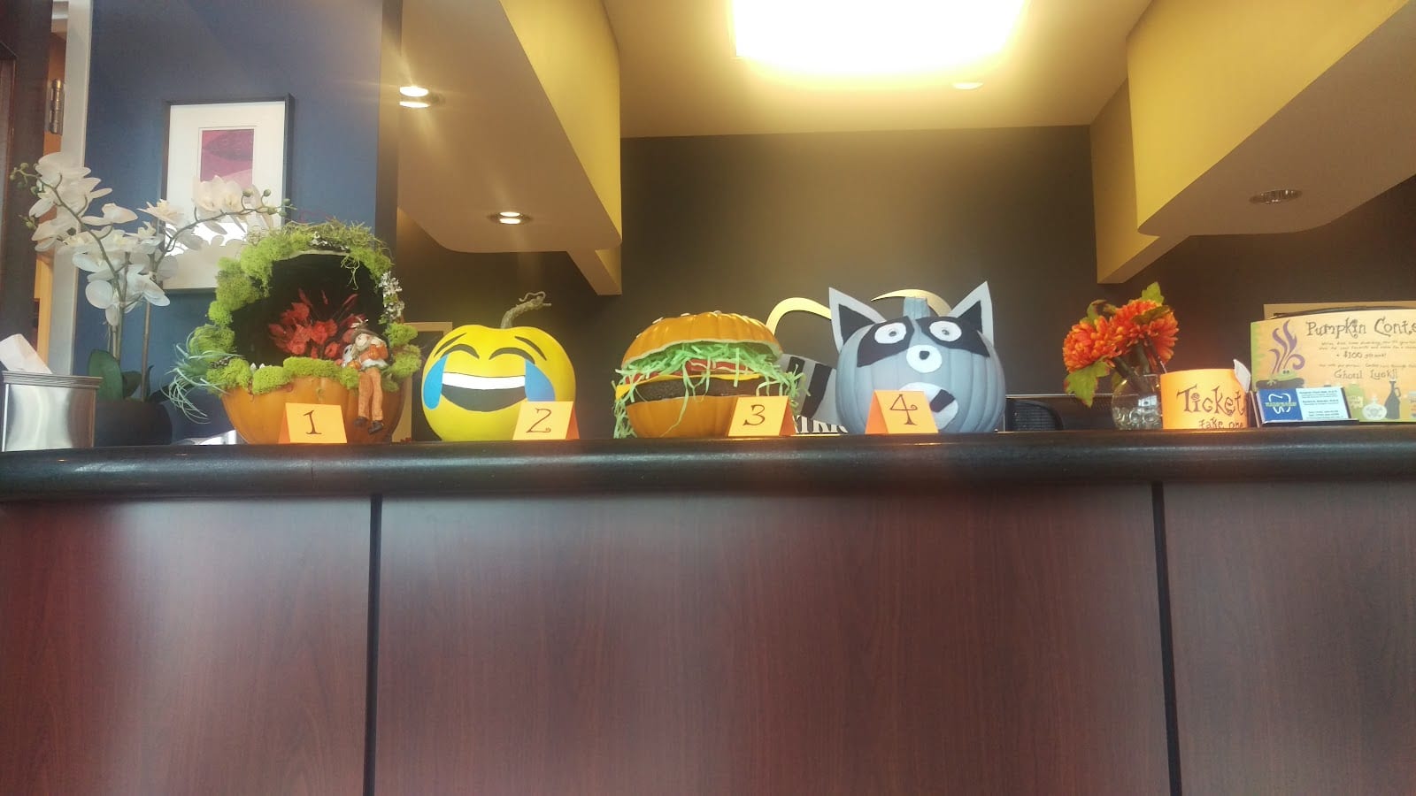 Windward Pediatric Dentistry, photo 2