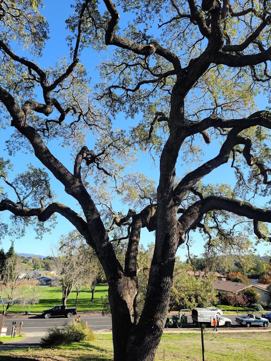 Sunrise Park (City of Napa), photo 3