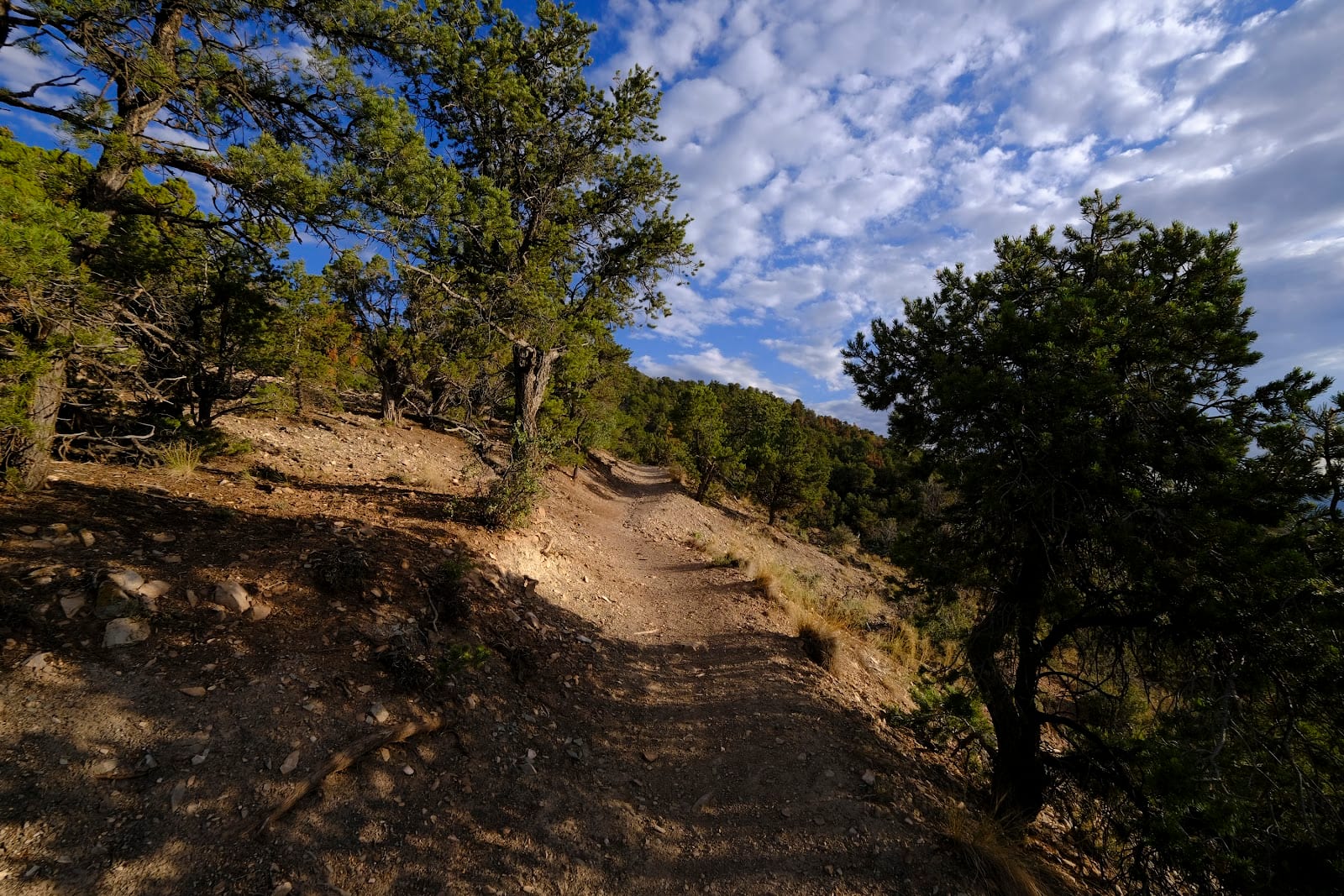 C Trailhead - Iron Hills Trail System, photo 3