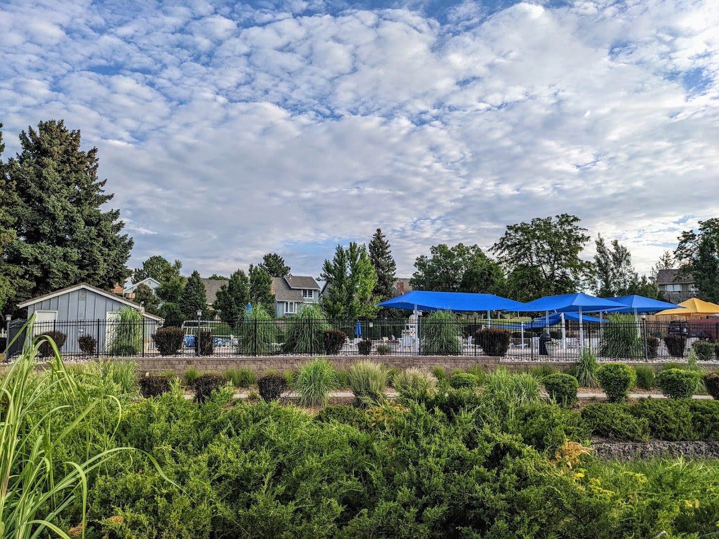 Willow Creek Pool