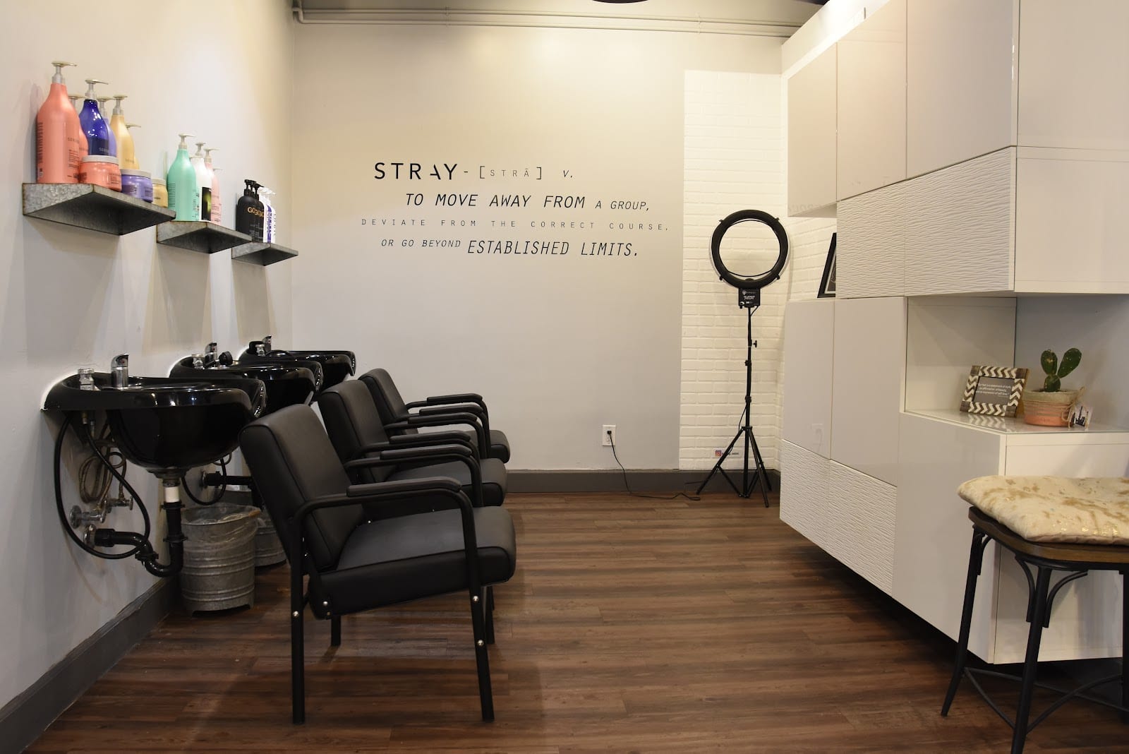 Stray Salon, photo 4