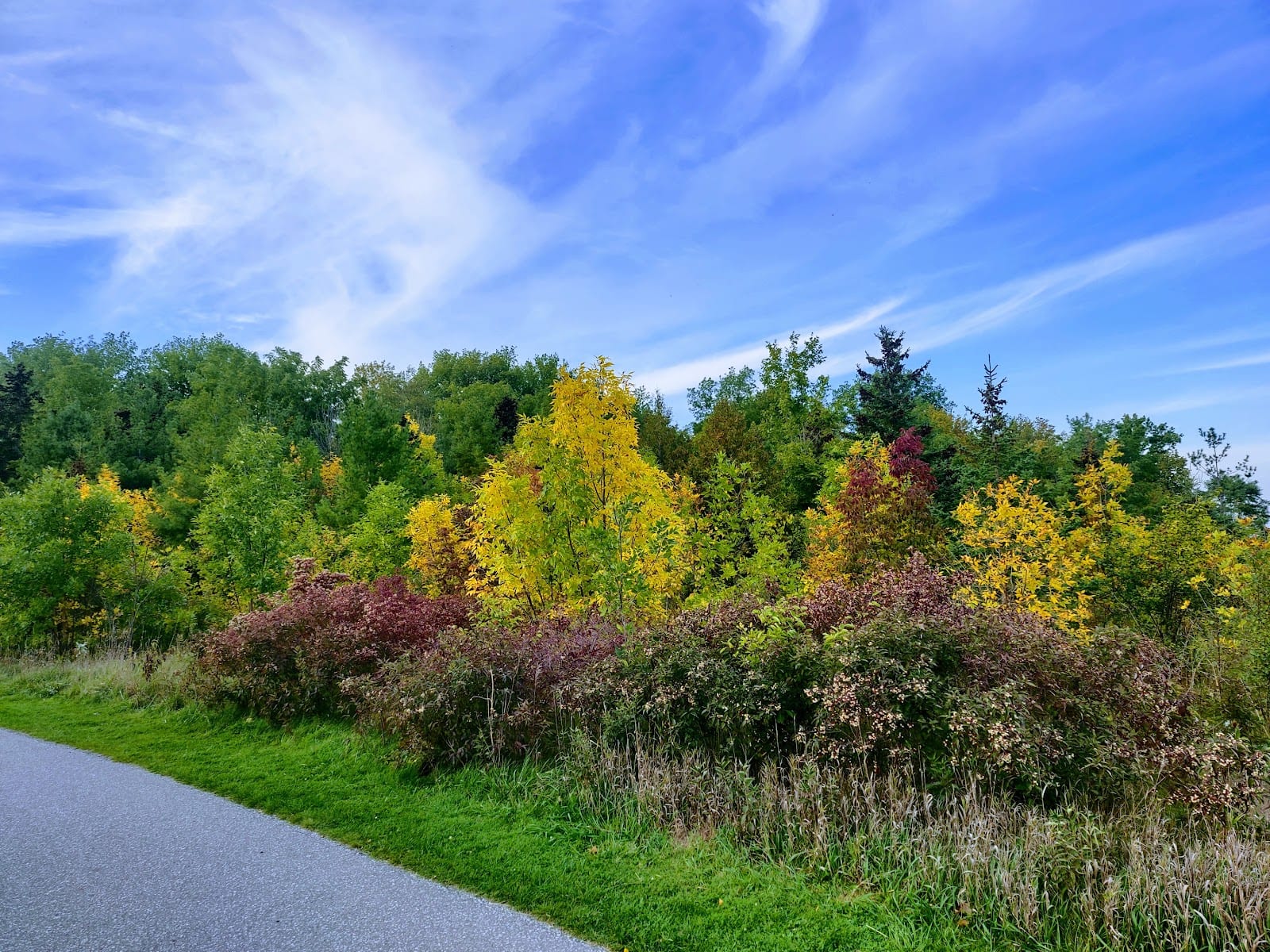 Lawrence Heights Park