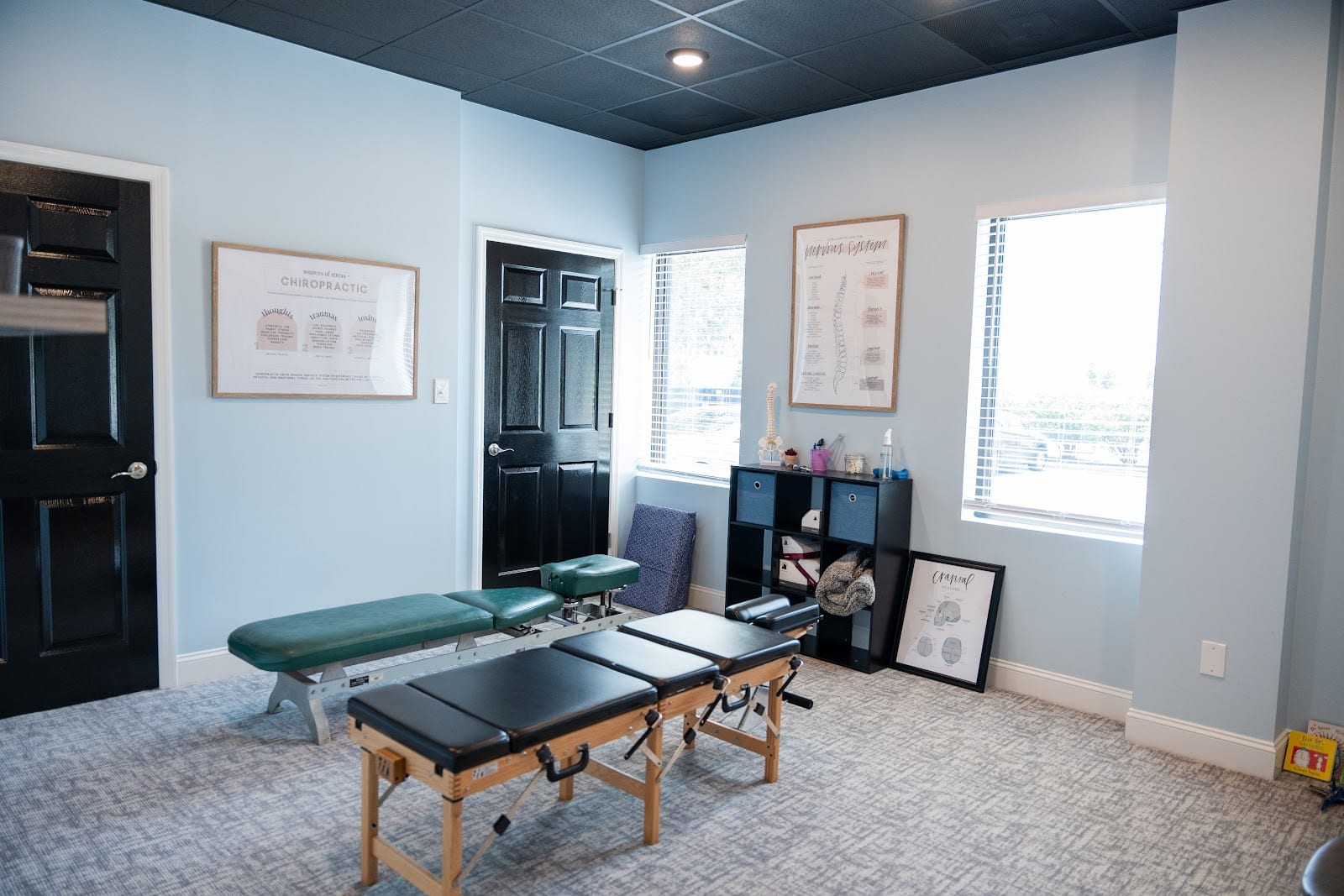 Joyful Chiropractic - Madison