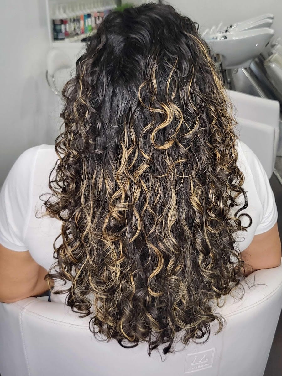 Intrepid Salon