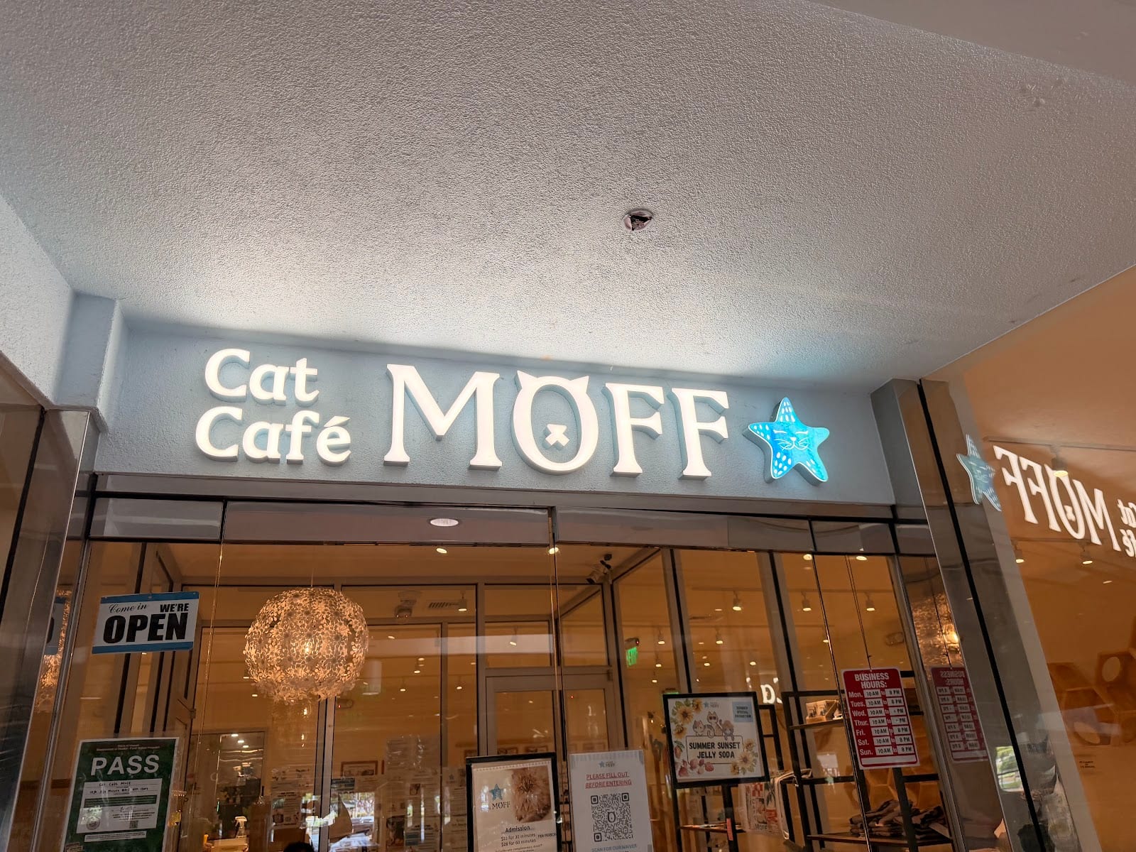 Cat Café MOFF Ala Moana Center, photo 2