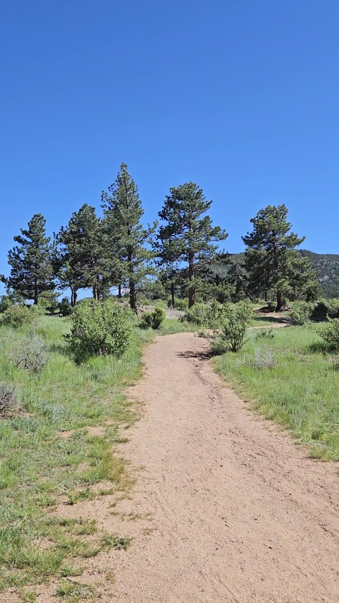 Knoll Willows Trail Head, photo 2