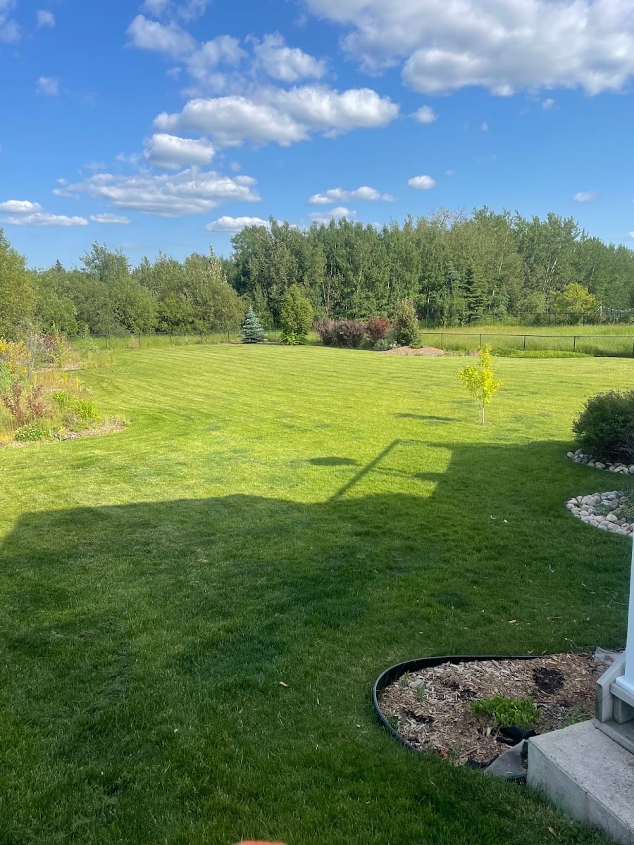 Jean Shorts Lawn Care, photo 3