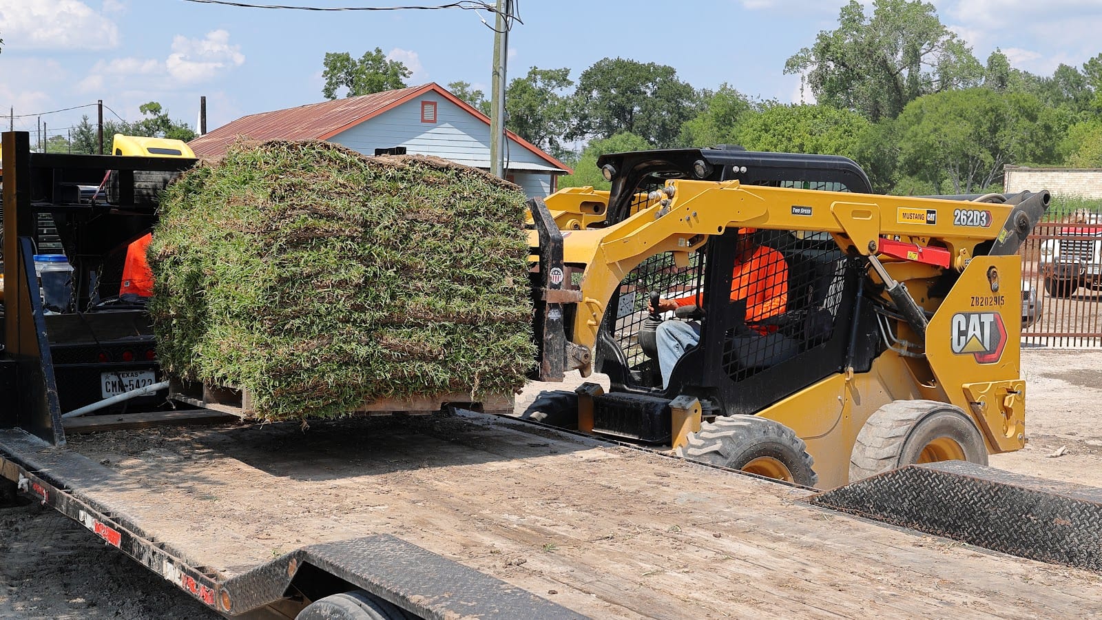 Tree Line Houston Plus - Grass/Landscaping Supply/Equipment Rentals & Demolitions, photo 3