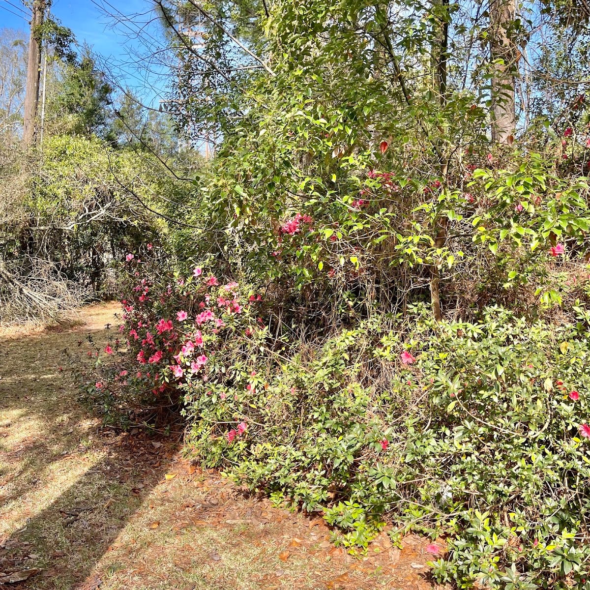 Glenwood Park, photo 2