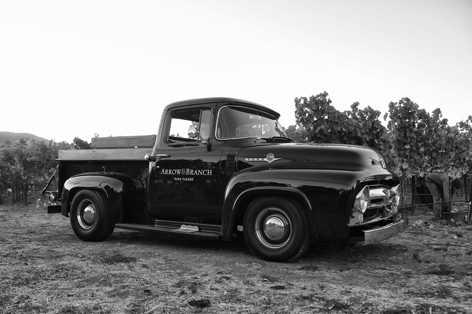 Arrow&Branch Winery, photo 2