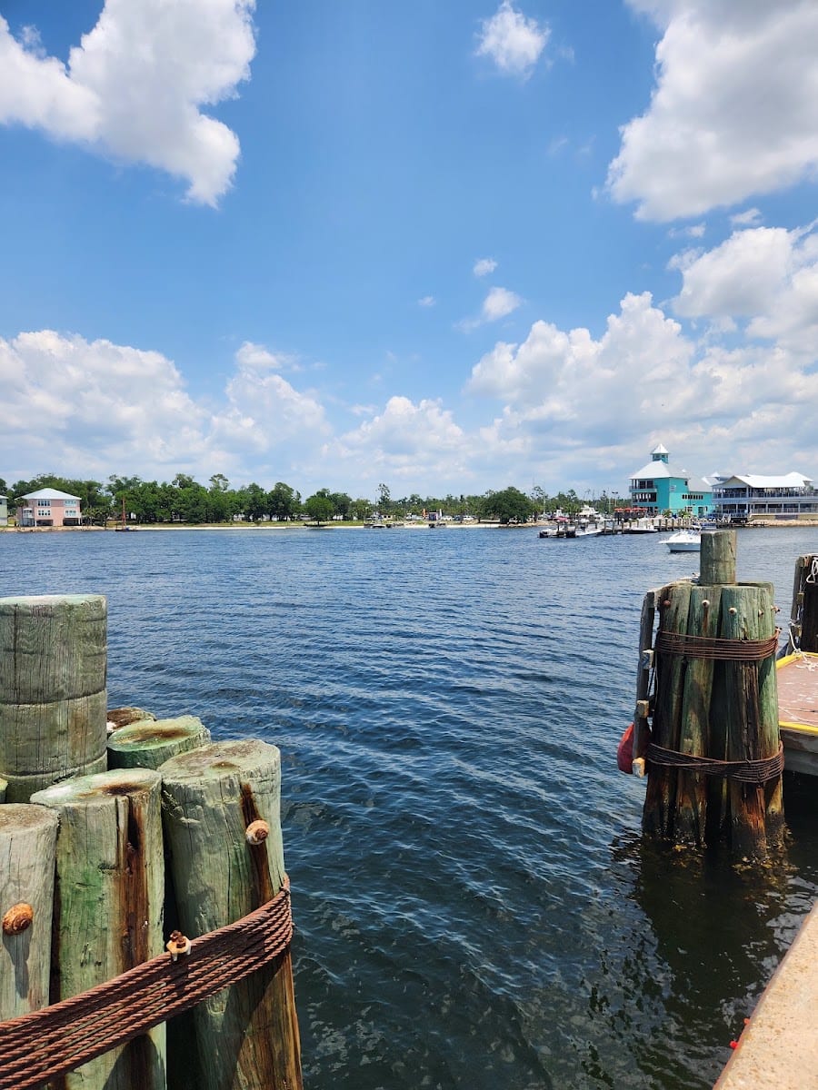 Panama City Beach Dolphin Tours & More, photo 4