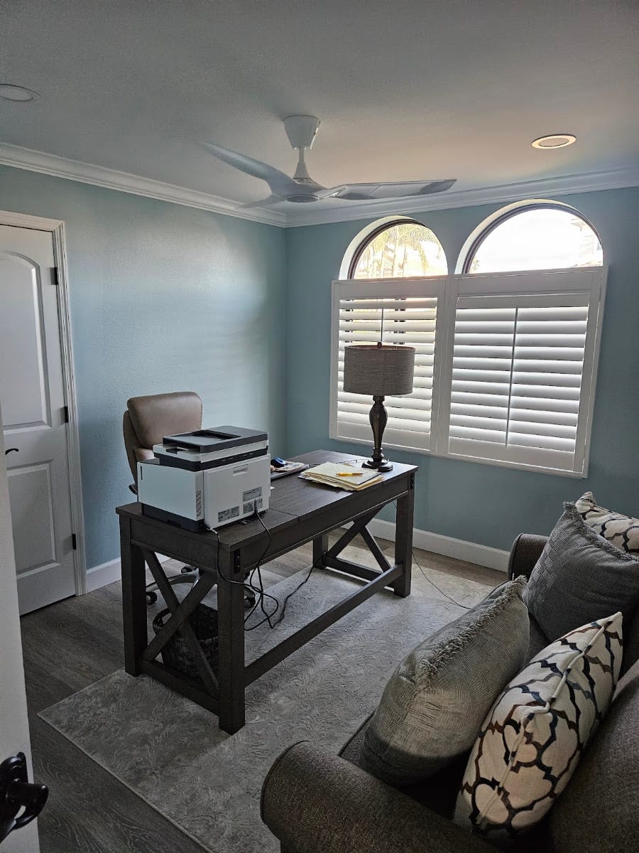 WOW 1 DAY PAINTING Sarasota, photo 4