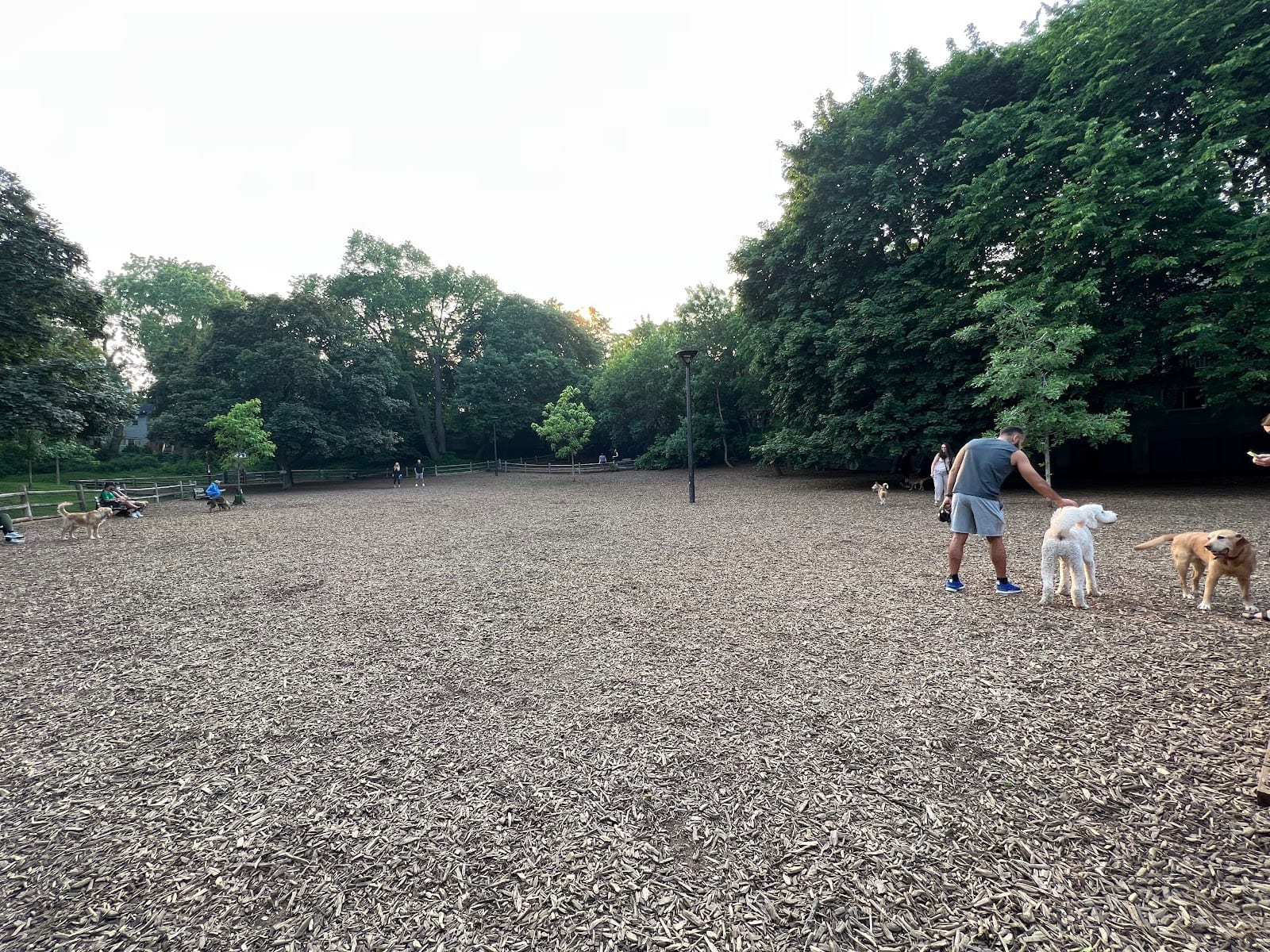 Ramsden Dog Park