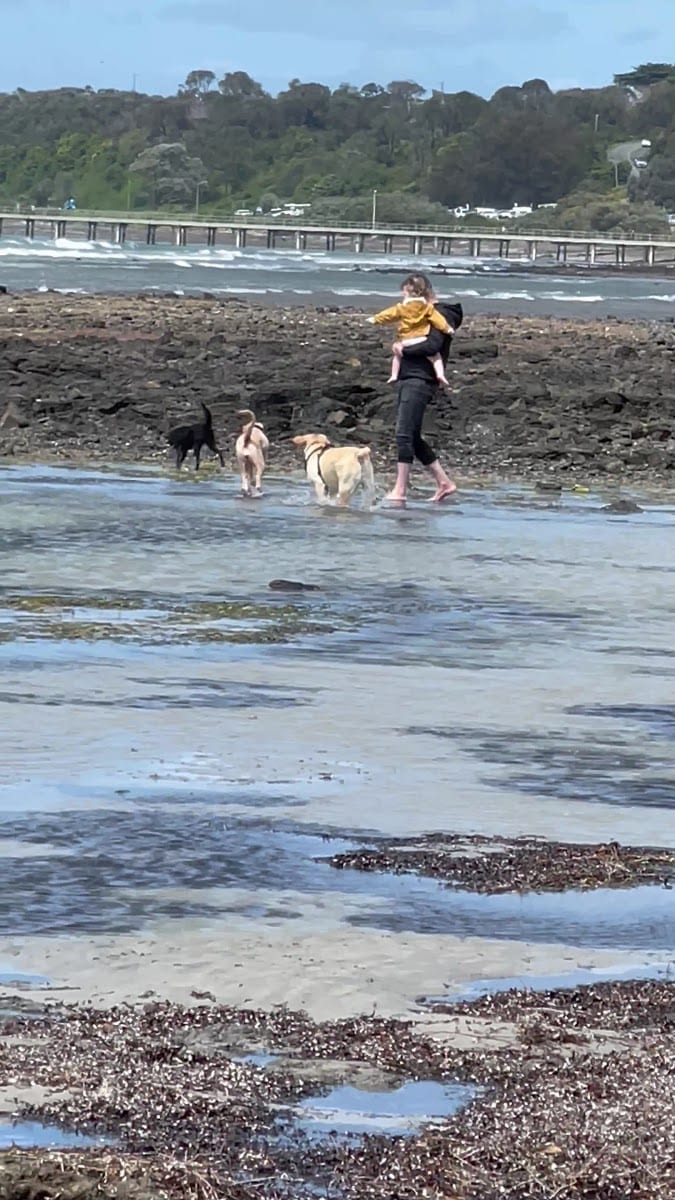 Flinders Beach Dog Off Leash Area, photo 2