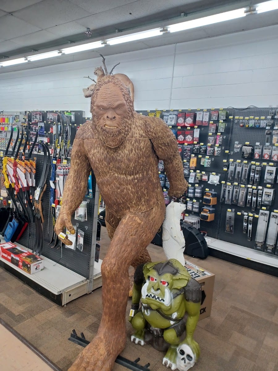 Hurst Ace Hardware, photo 3
