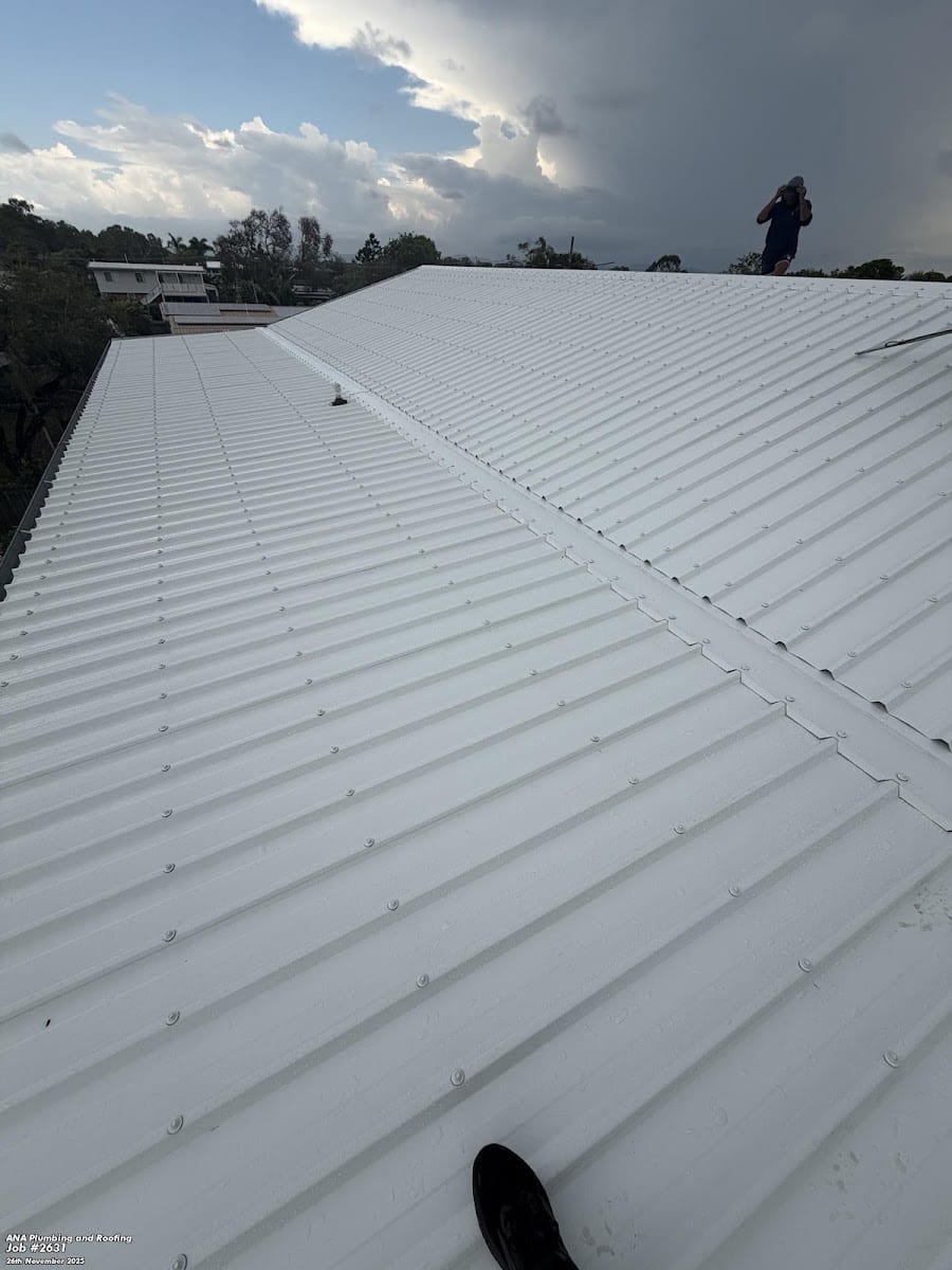 ANA Plumbing and Roofing, photo 3