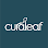Curaleaf Dispensary Panama City