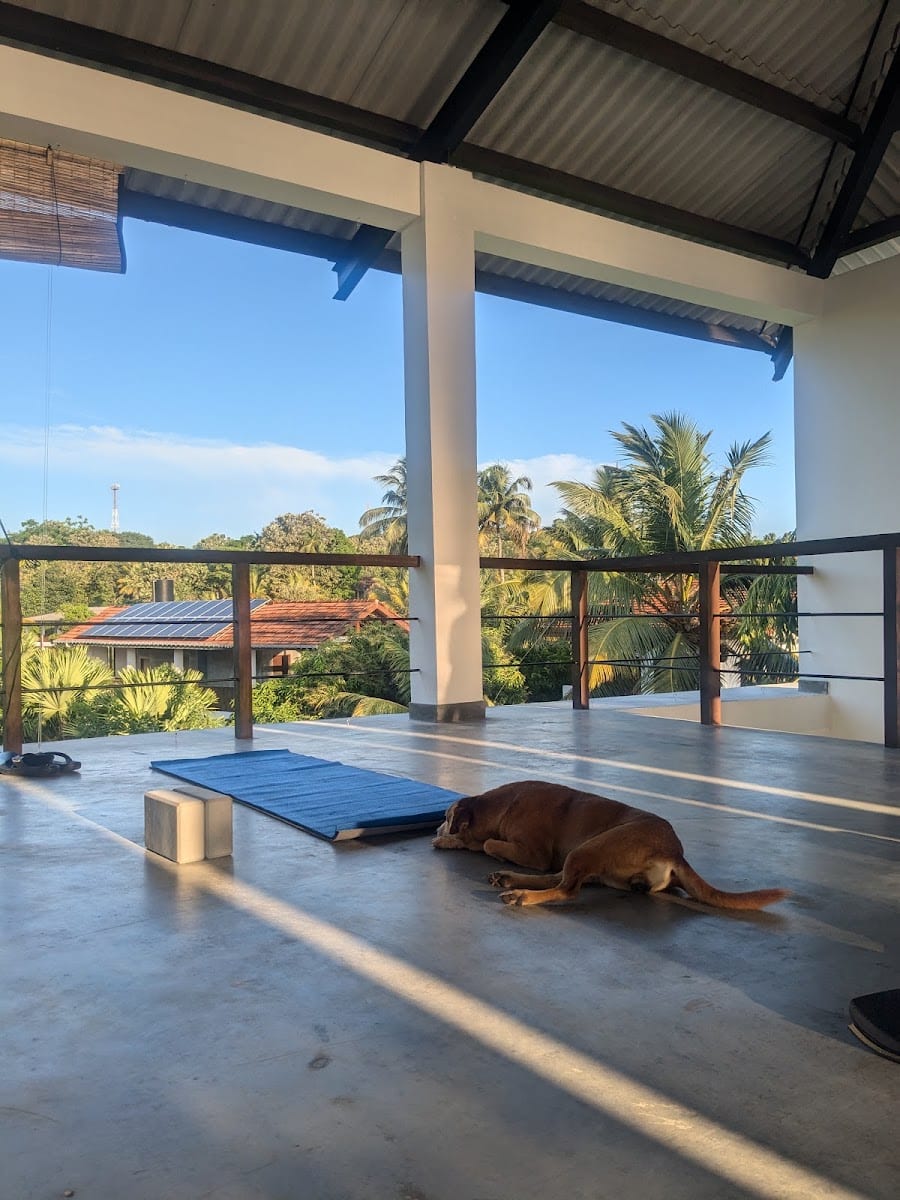 Althea Massage Therapy & Yoga, photo 2