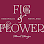 Fig and Flower Annapolis