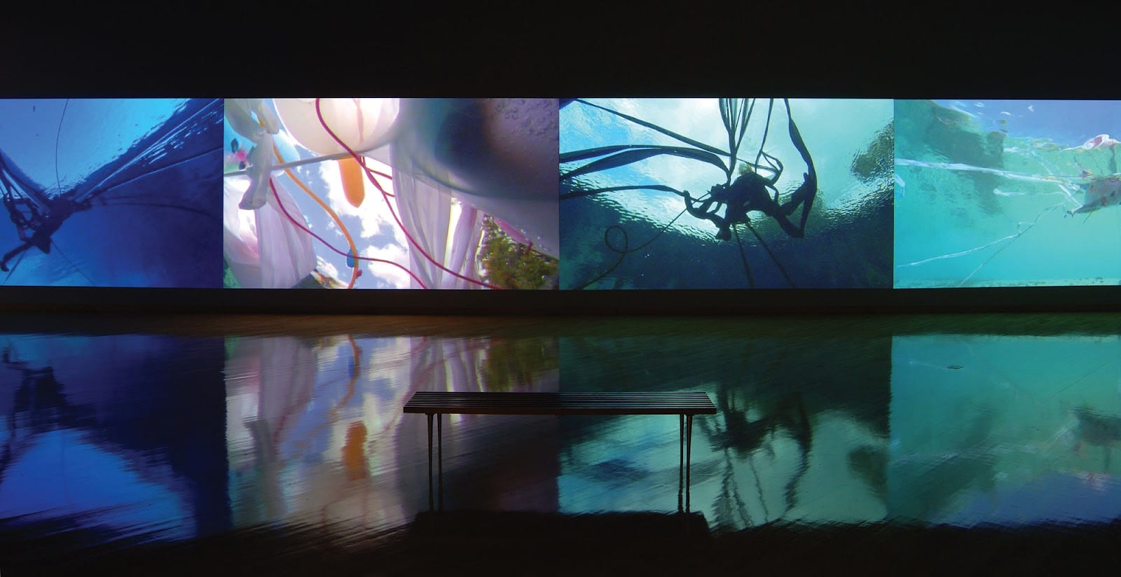 USF Contemporary Art Museum, photo 2