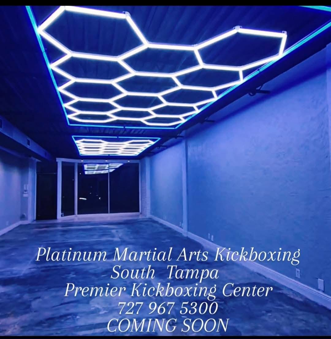PLATINUM MARTIAL ARTS KICKBOXING SOUTH TAMPA, photo 4