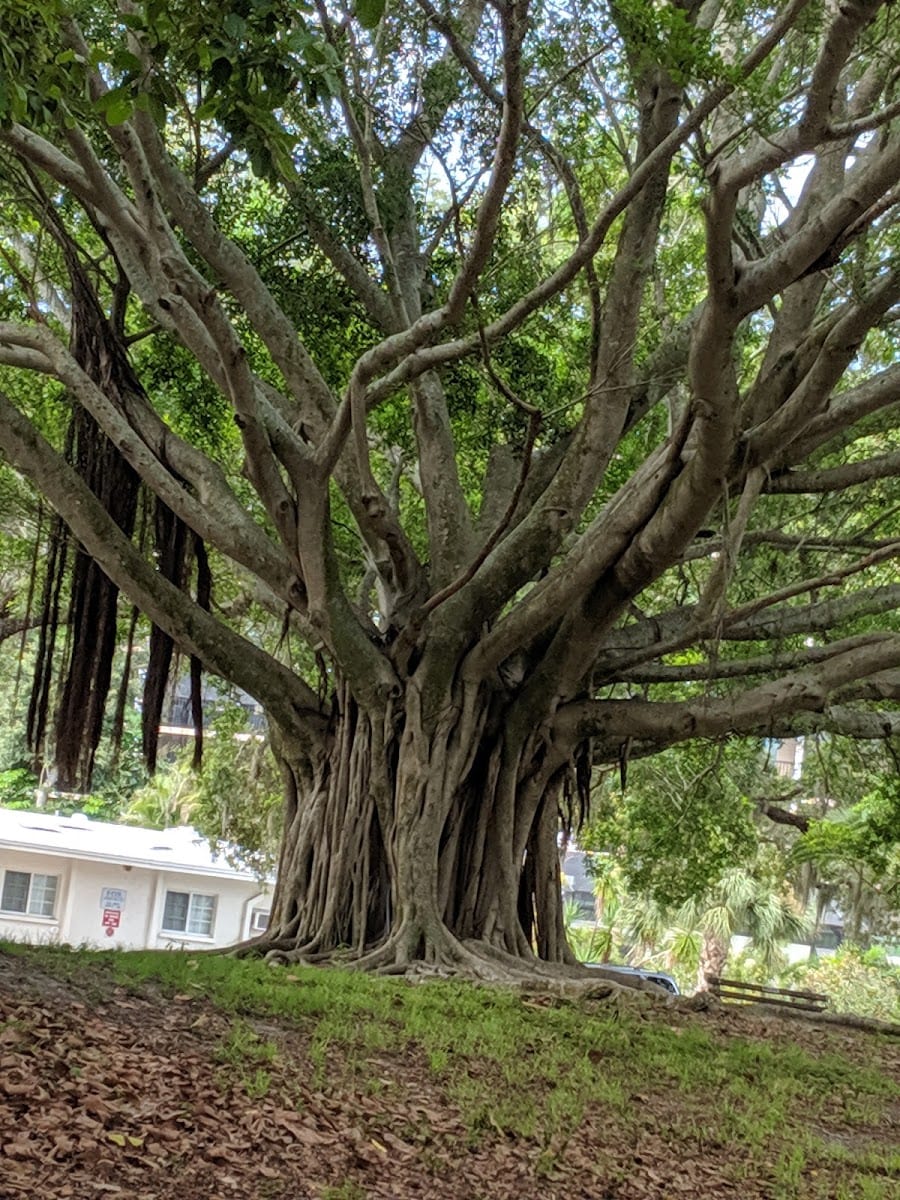 John Nolen Park