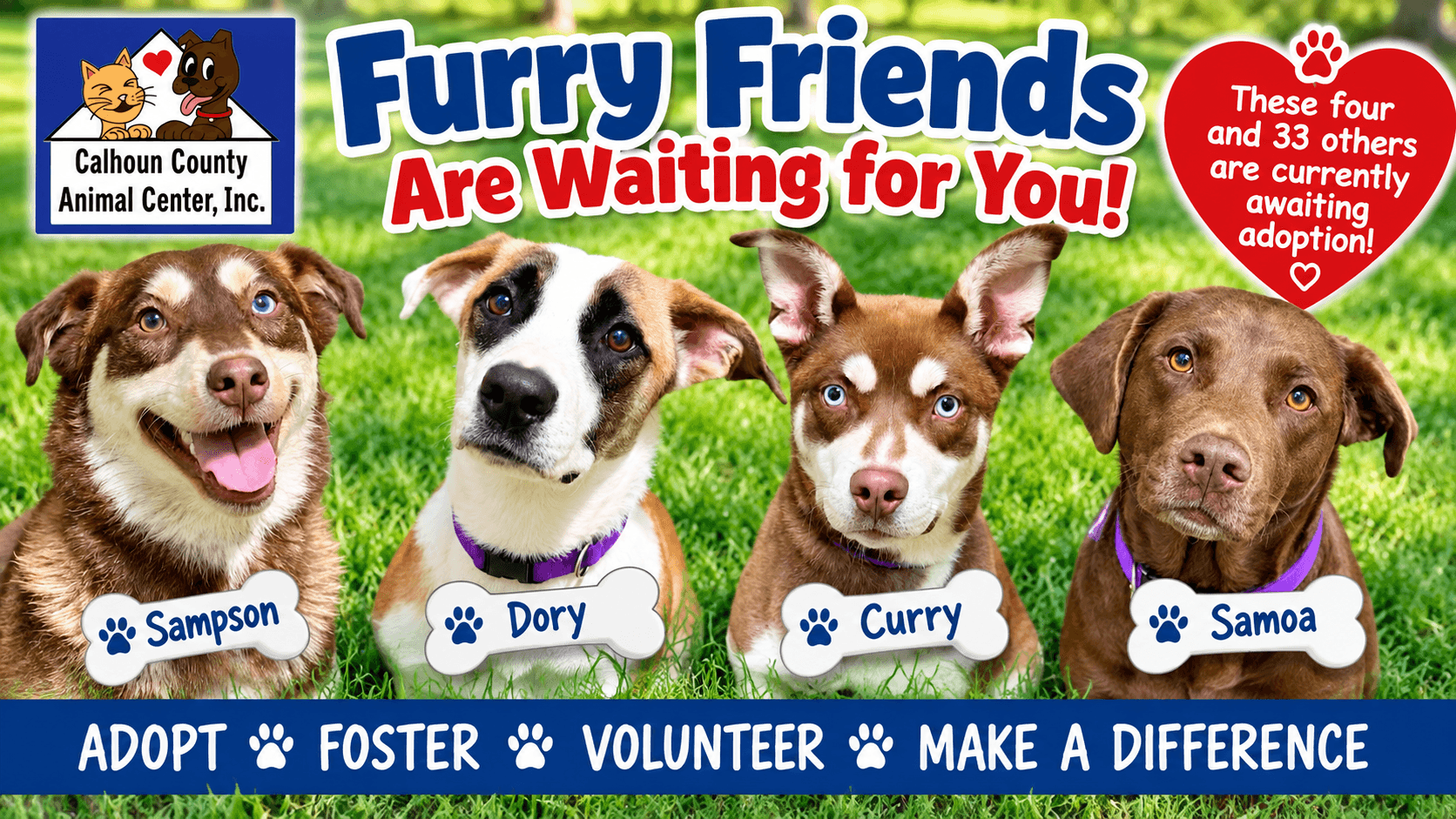 Fall Is Better With a Furry Friend: 37 Dogs Are Waiting for Homes in Calhoun County