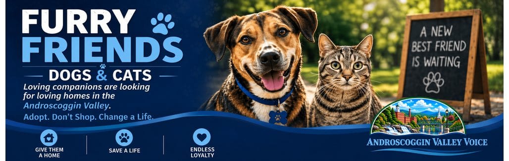 Furry Friends