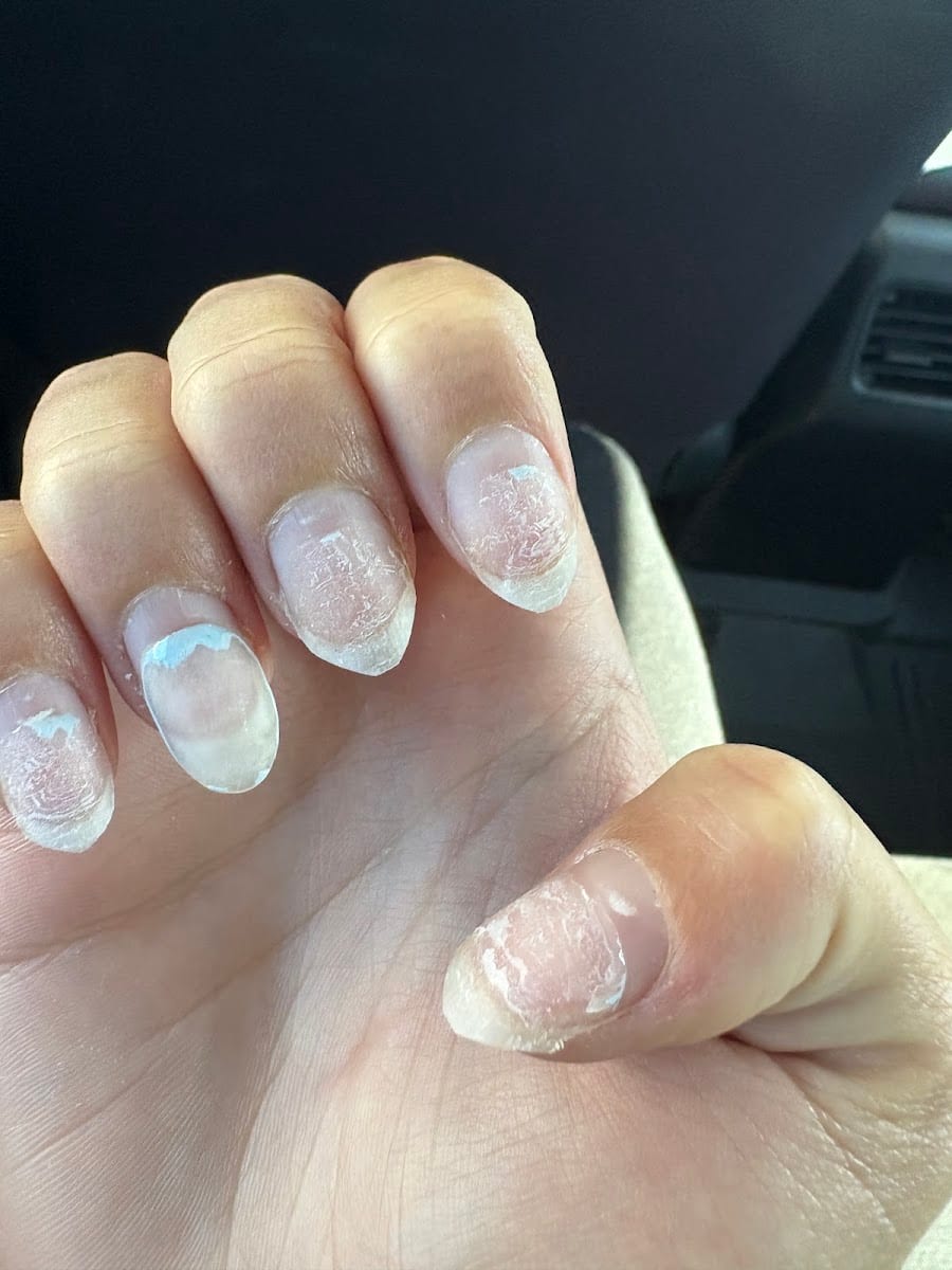 Hollywood Nails & Spa, photo 3